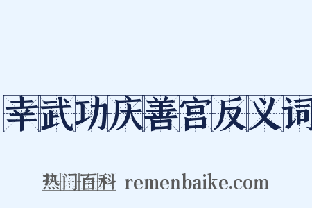 幸武功庆善宫反义词是什么意思的图片
